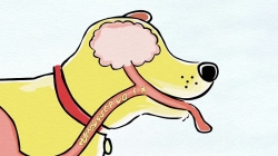 مجموعه کارتونی آموزنده Martha speaks قسمت 20